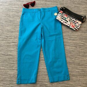 Counterparts Turquoise Capri Pant 10